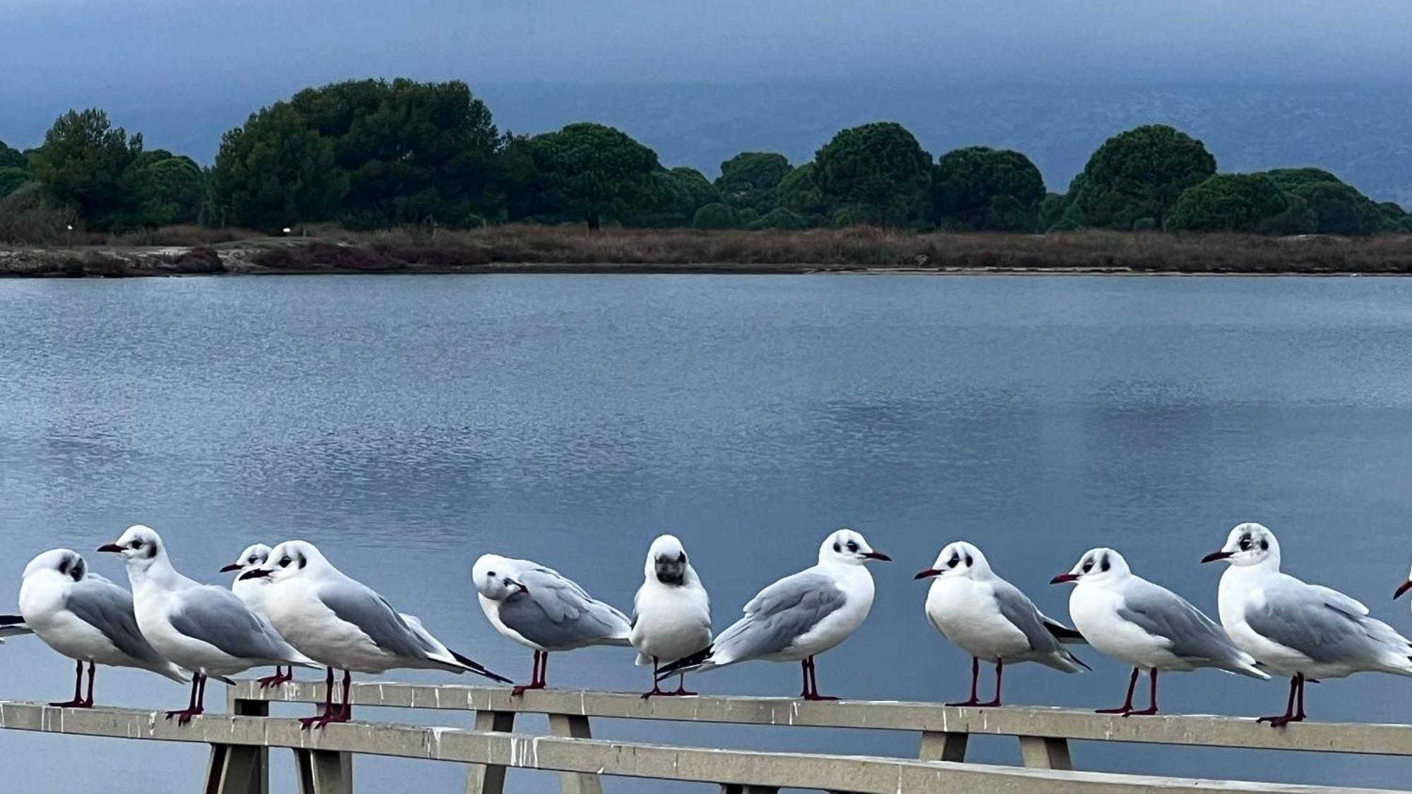 Entre Lac, Mer Et Montagne לה ברקרה מראה חיצוני תמונה